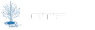 www.developertaskforce.com brand logo